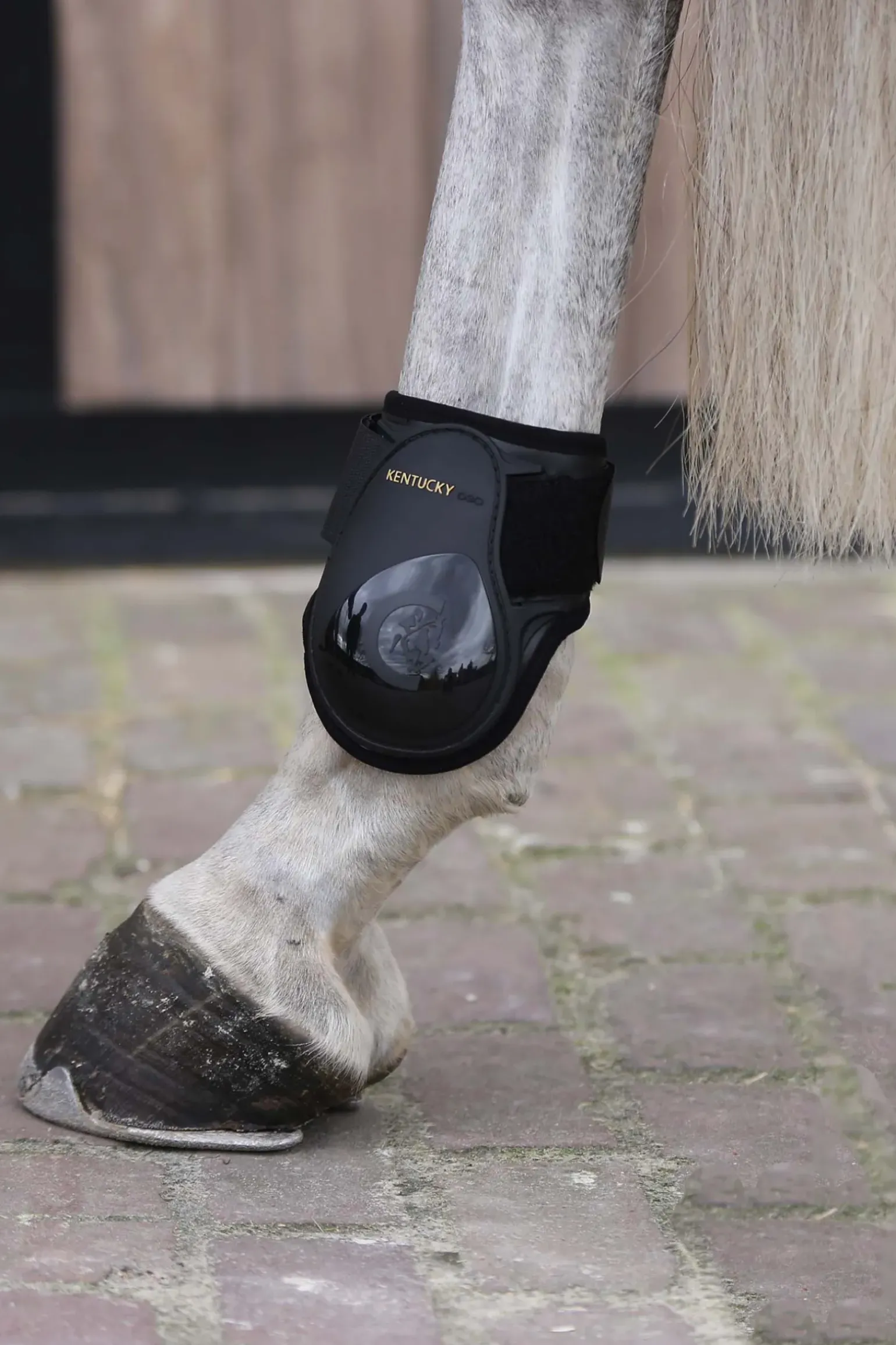 Kentucky Horsewear Protege-Boulet Jeunes Chevaux