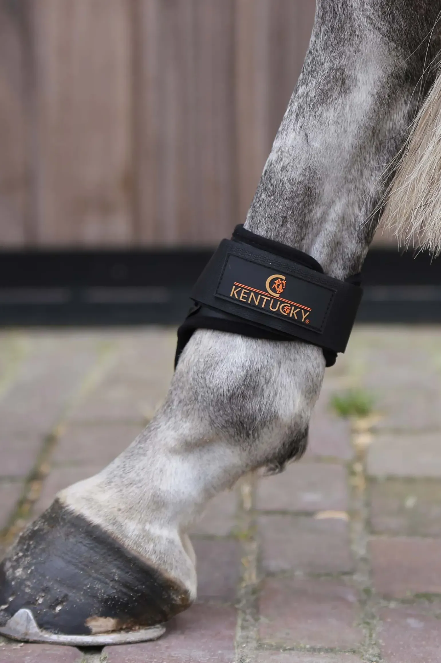 Kentucky Horsewear Protege-Boulet Jeunes Chevaux