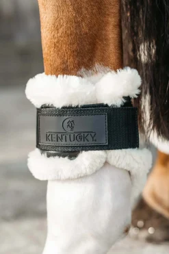 Kentucky Horsewear Protege-Boulet Jeunes Chevaux Mouton Vegan