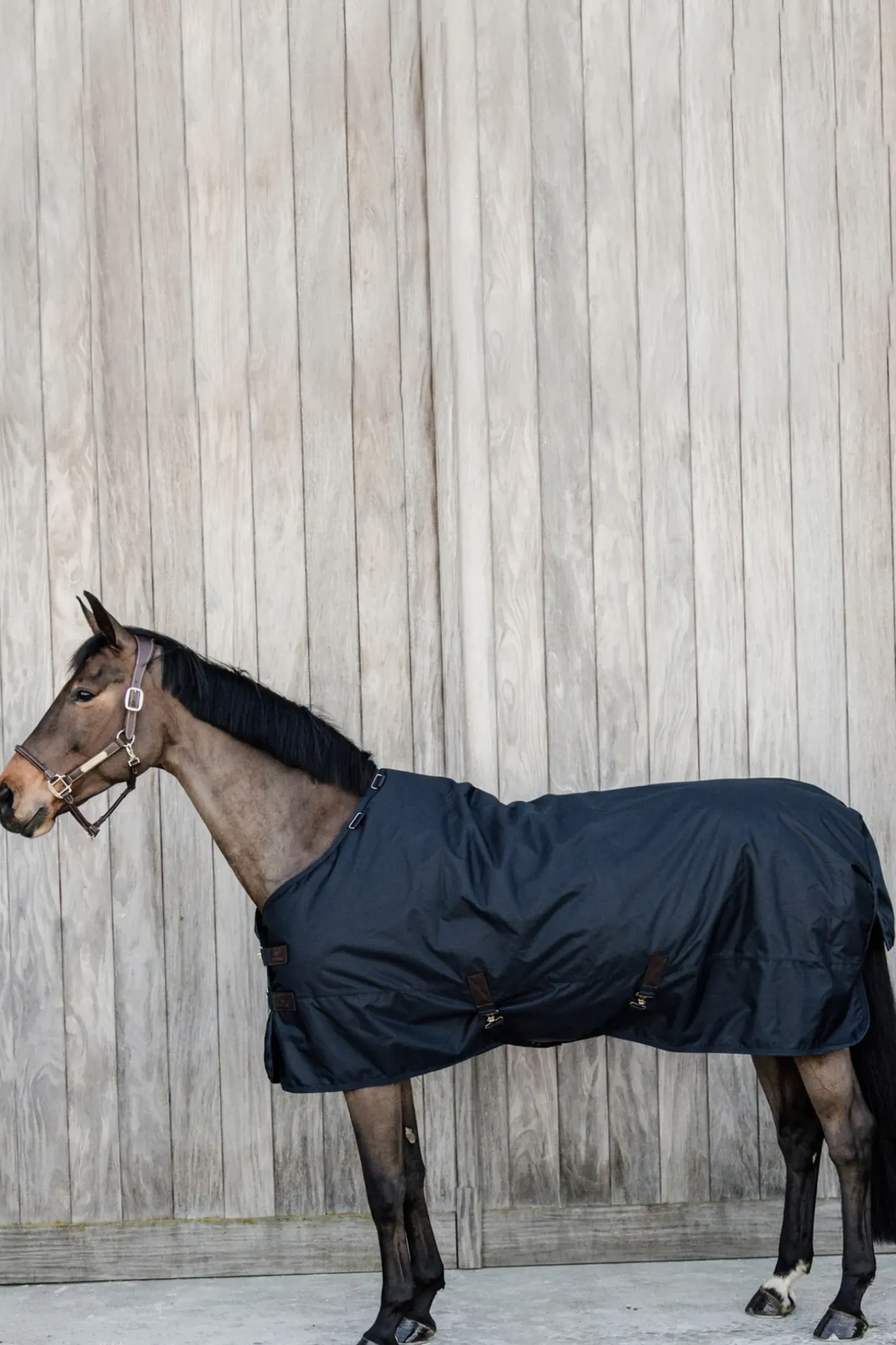 Kentucky Horsewear Turnout Rug All Weather Waterproof Classic, 50G
