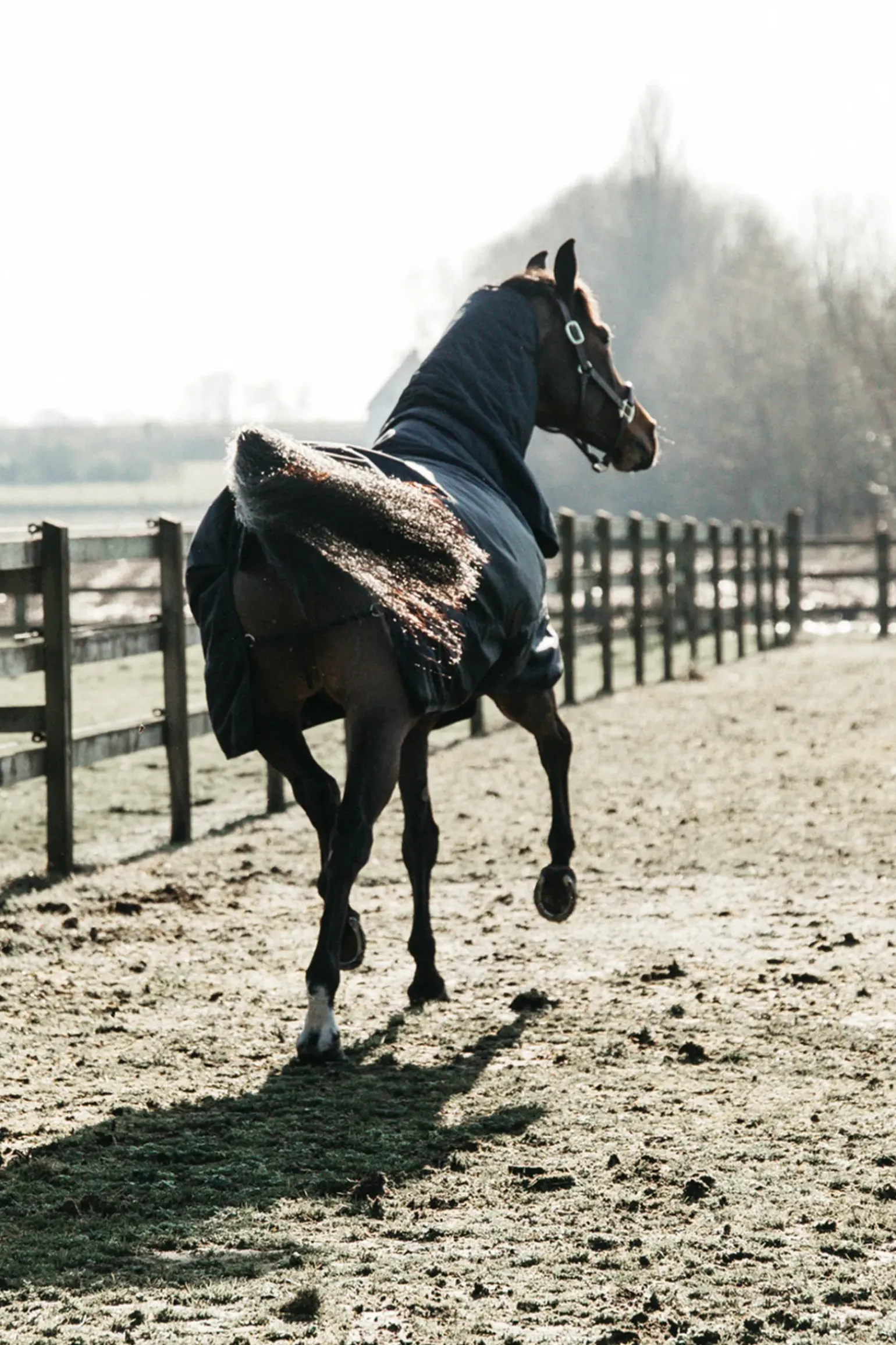 Kentucky Horsewear Turnout Rug All Weather Waterproof Classic, 50G