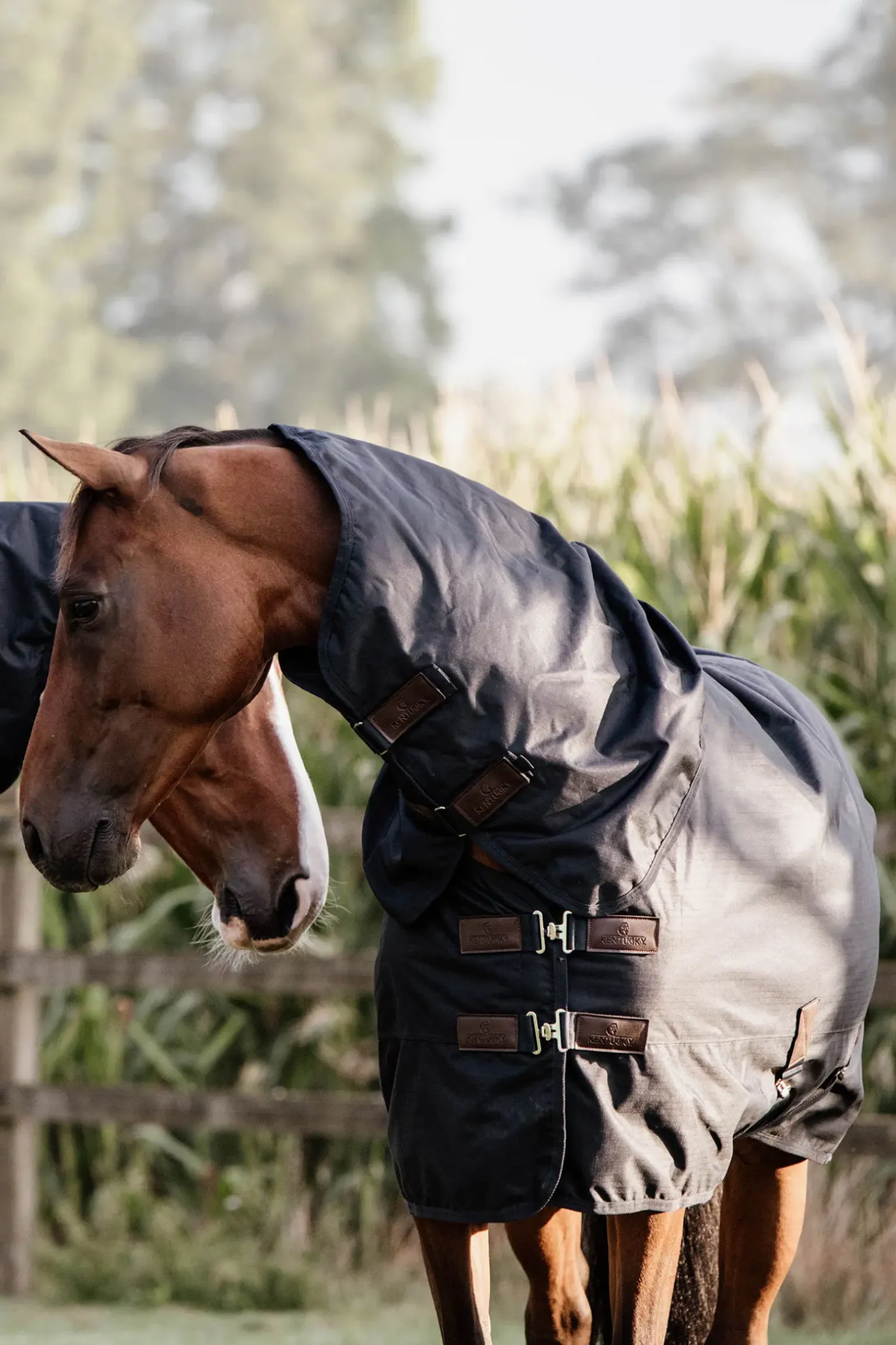 Kentucky Horsewear Turnout Rug All Weather Waterproof Classic, 0G