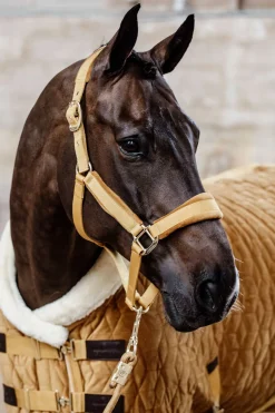 Kentucky Horsewear Velvet Licol