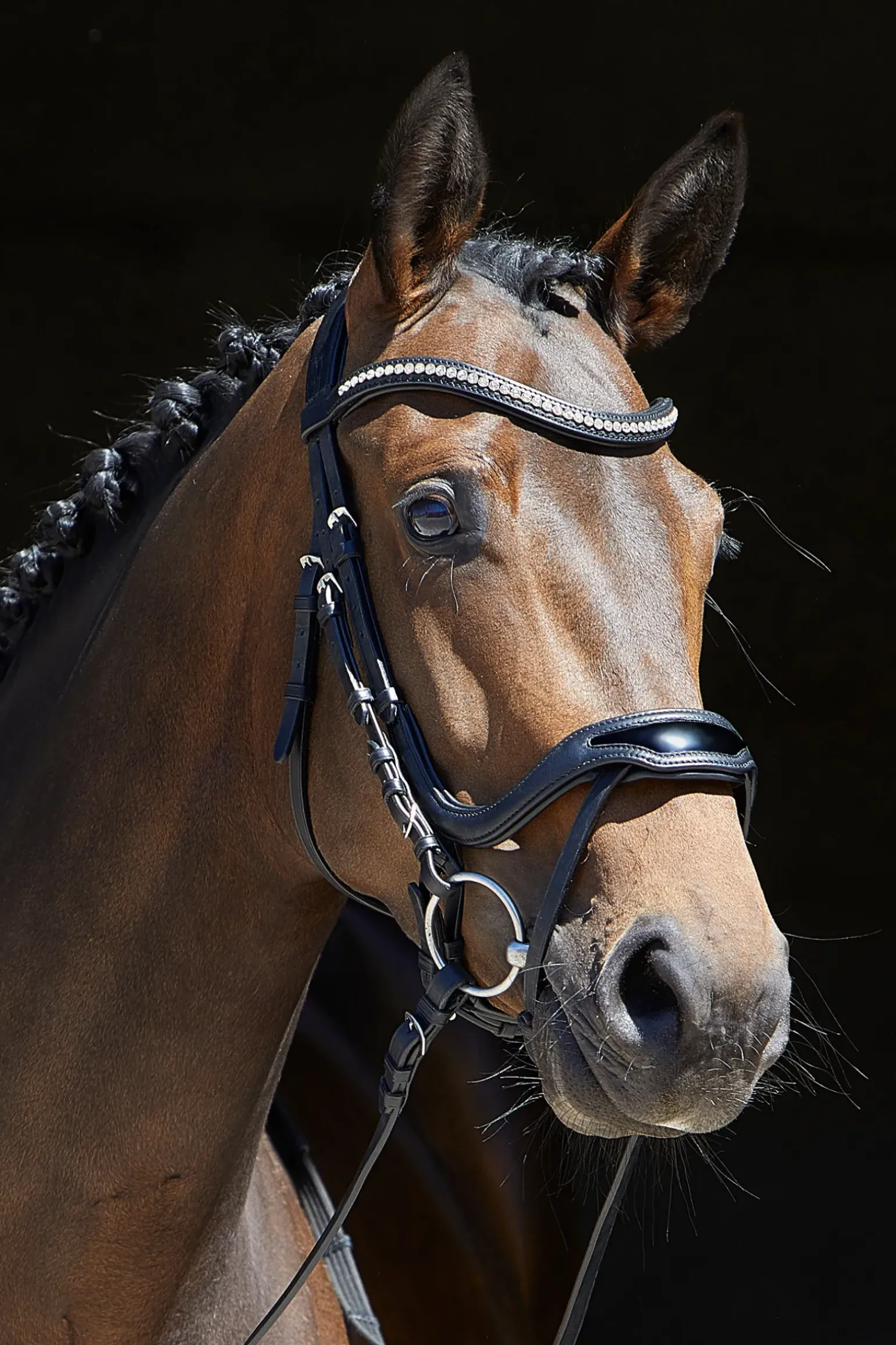 Kieffer Anouk Softtech Line Bridle
