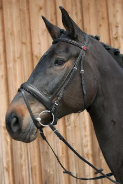 Kieffer Ergonomic Line Iii Bridle