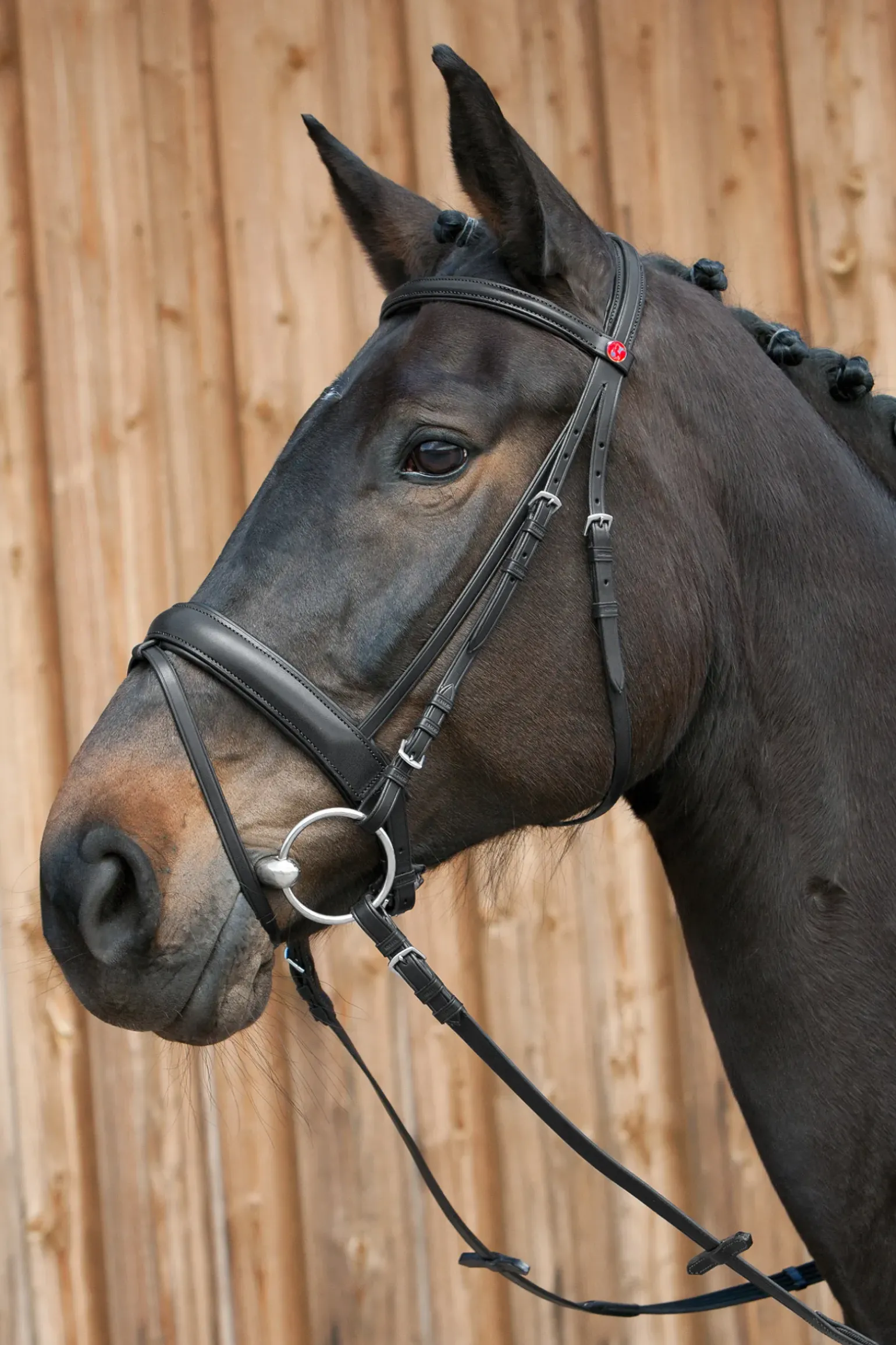 Kieffer Ergonomic Line Iii Bridle