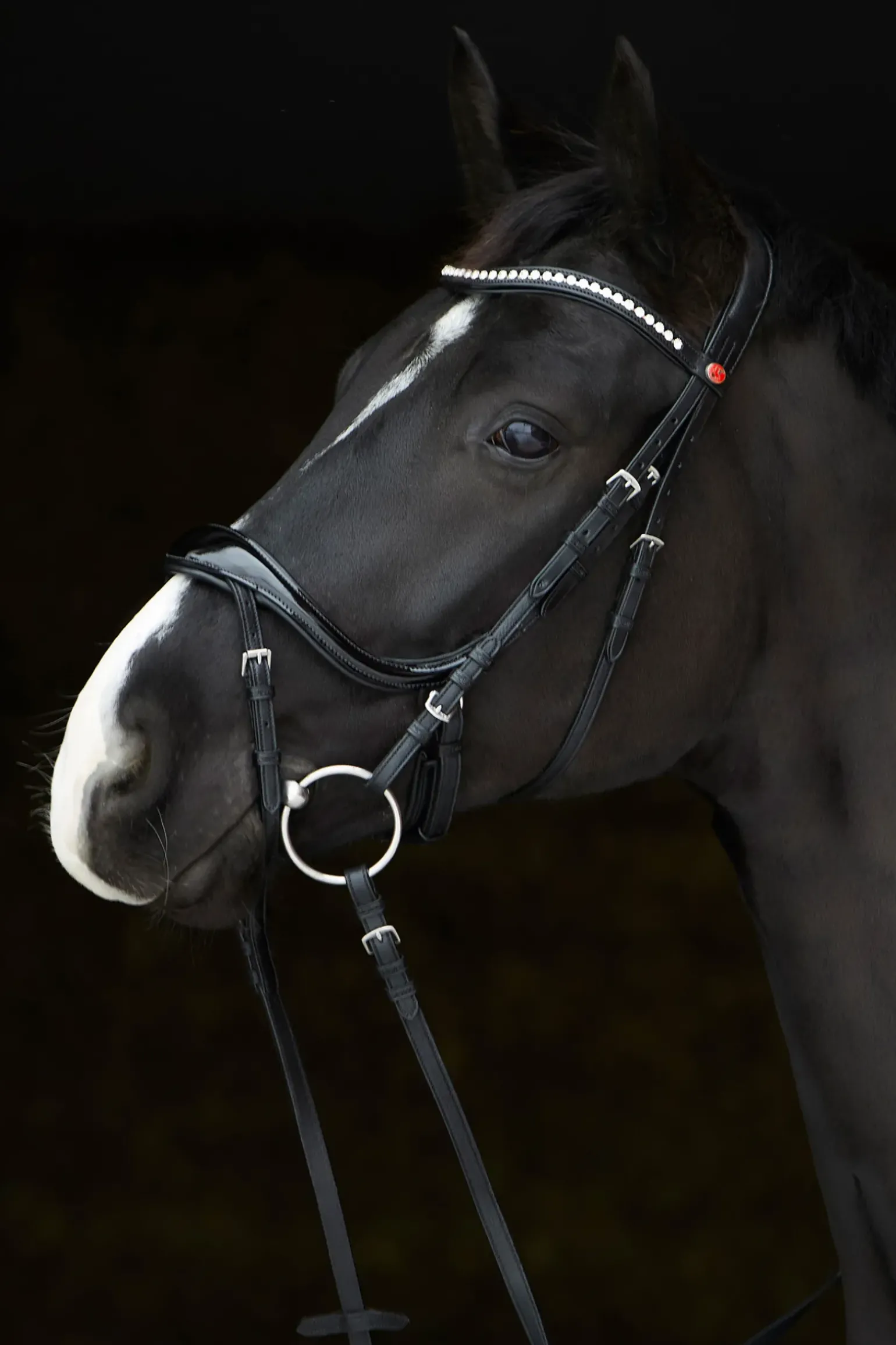 Kieffer Ultrasoft® Amy Shine Bridle