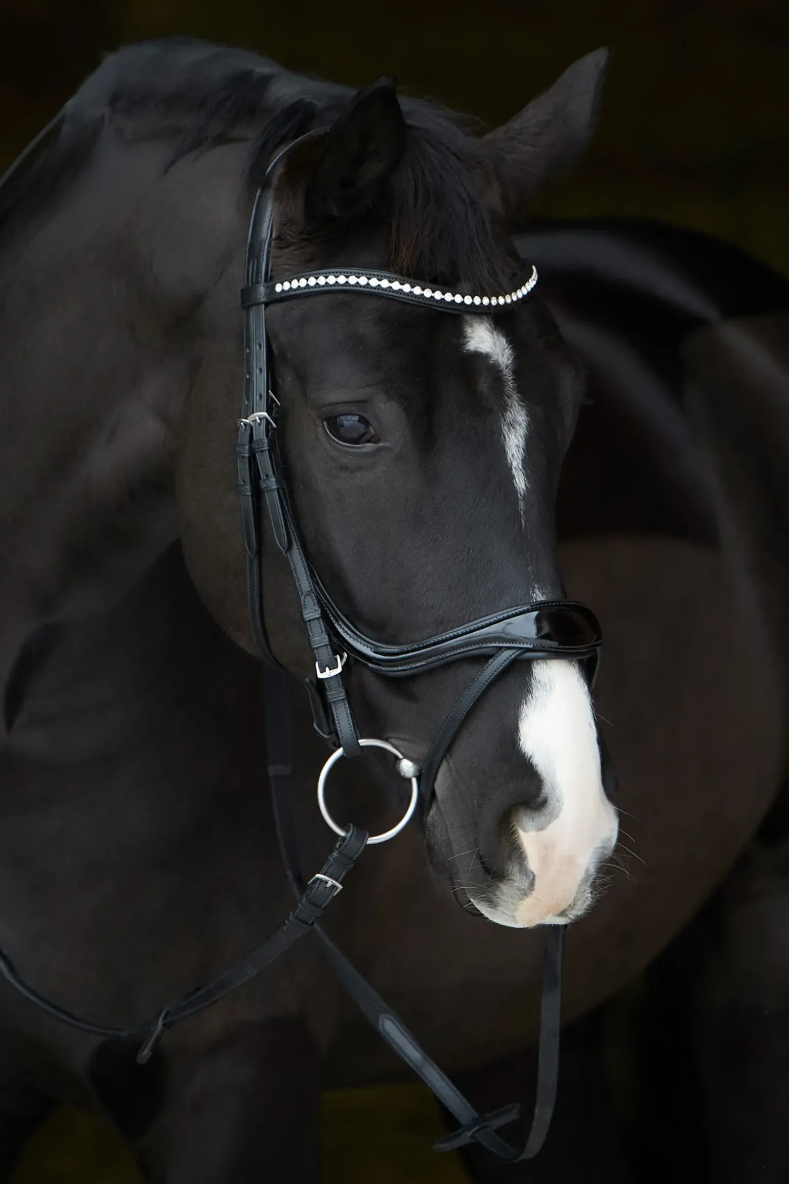 Kieffer Ultrasoft® Amy Shine Bridle