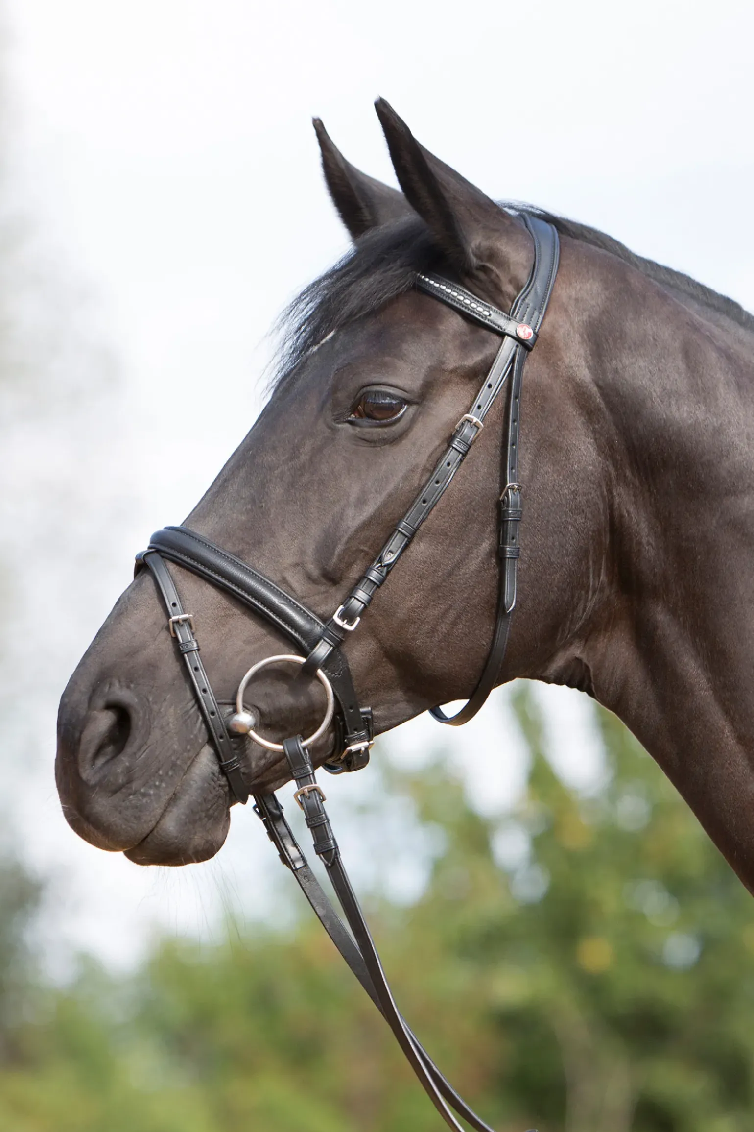 Kieffer Ultrasoft® Bridle