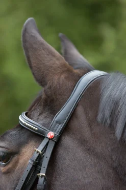 Kieffer Ultrasoft® Bridle