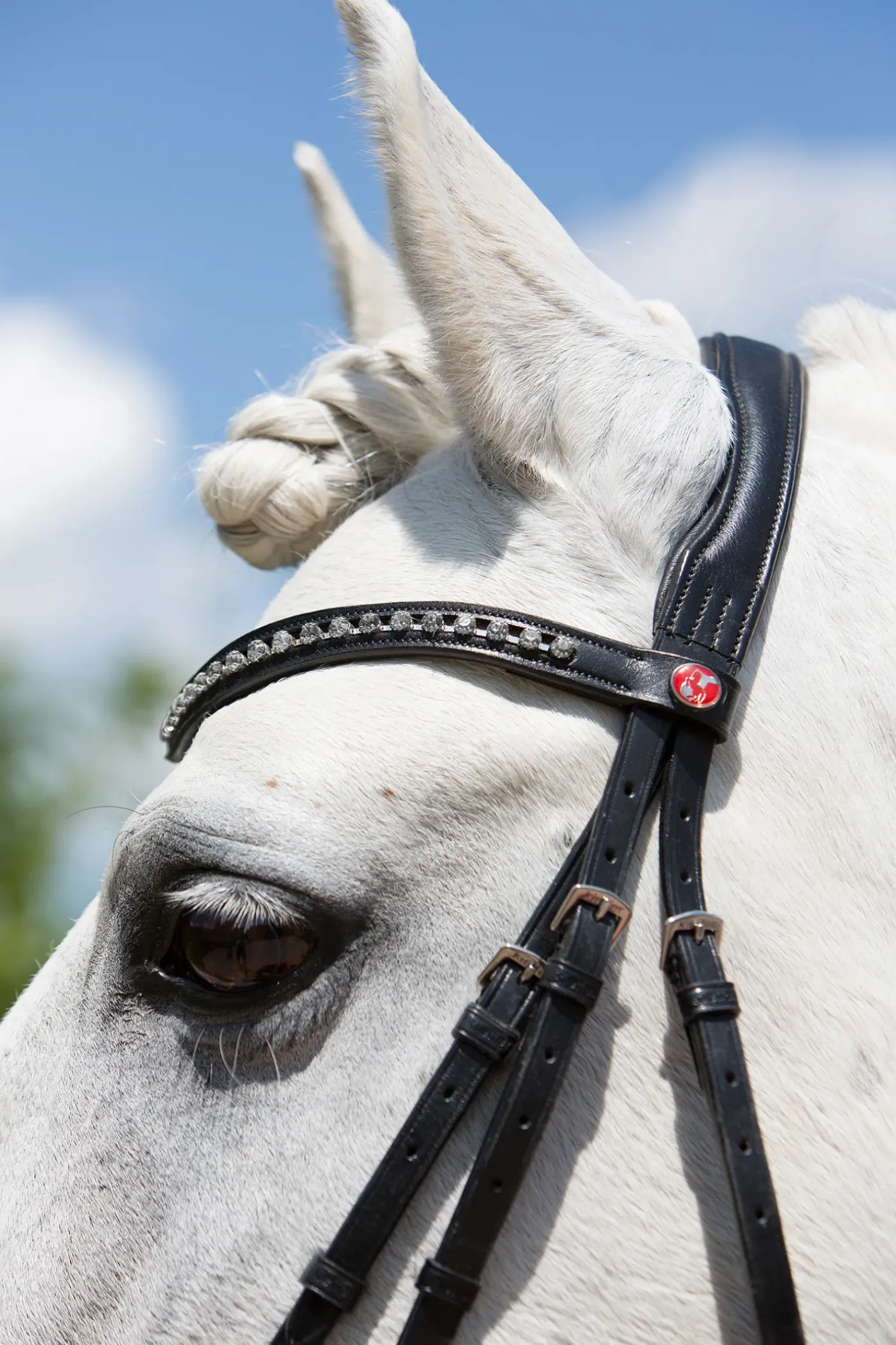 Kieffer Ultrasoft® Fashion Bridle