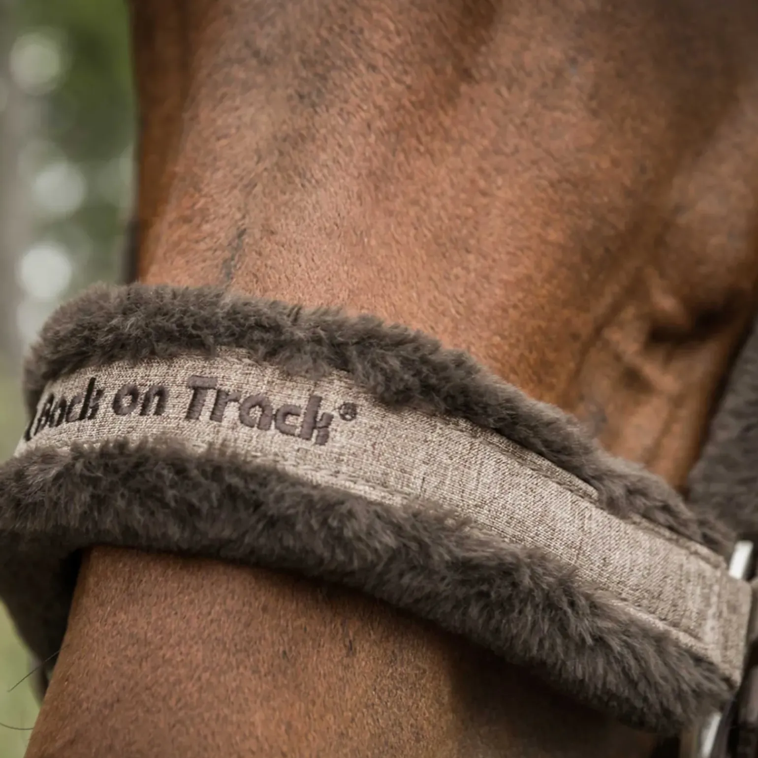 Licol Back On Track Collection Haze