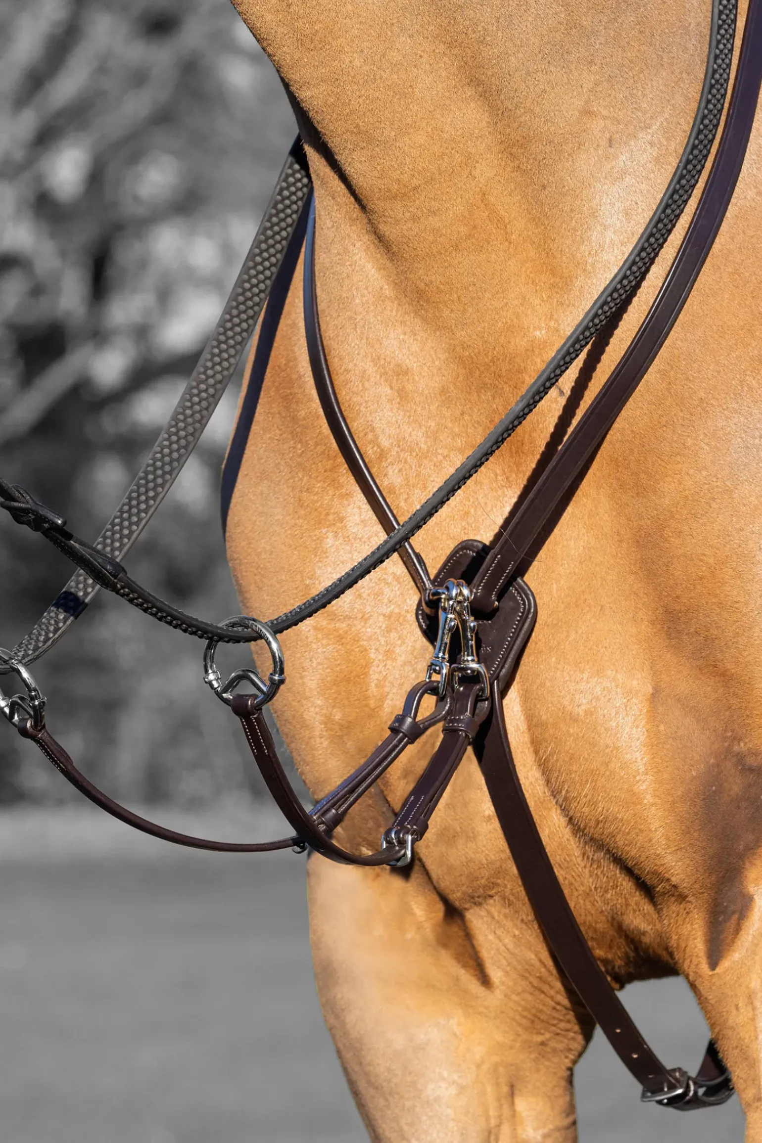 Martingale Lemieux Kudos Running