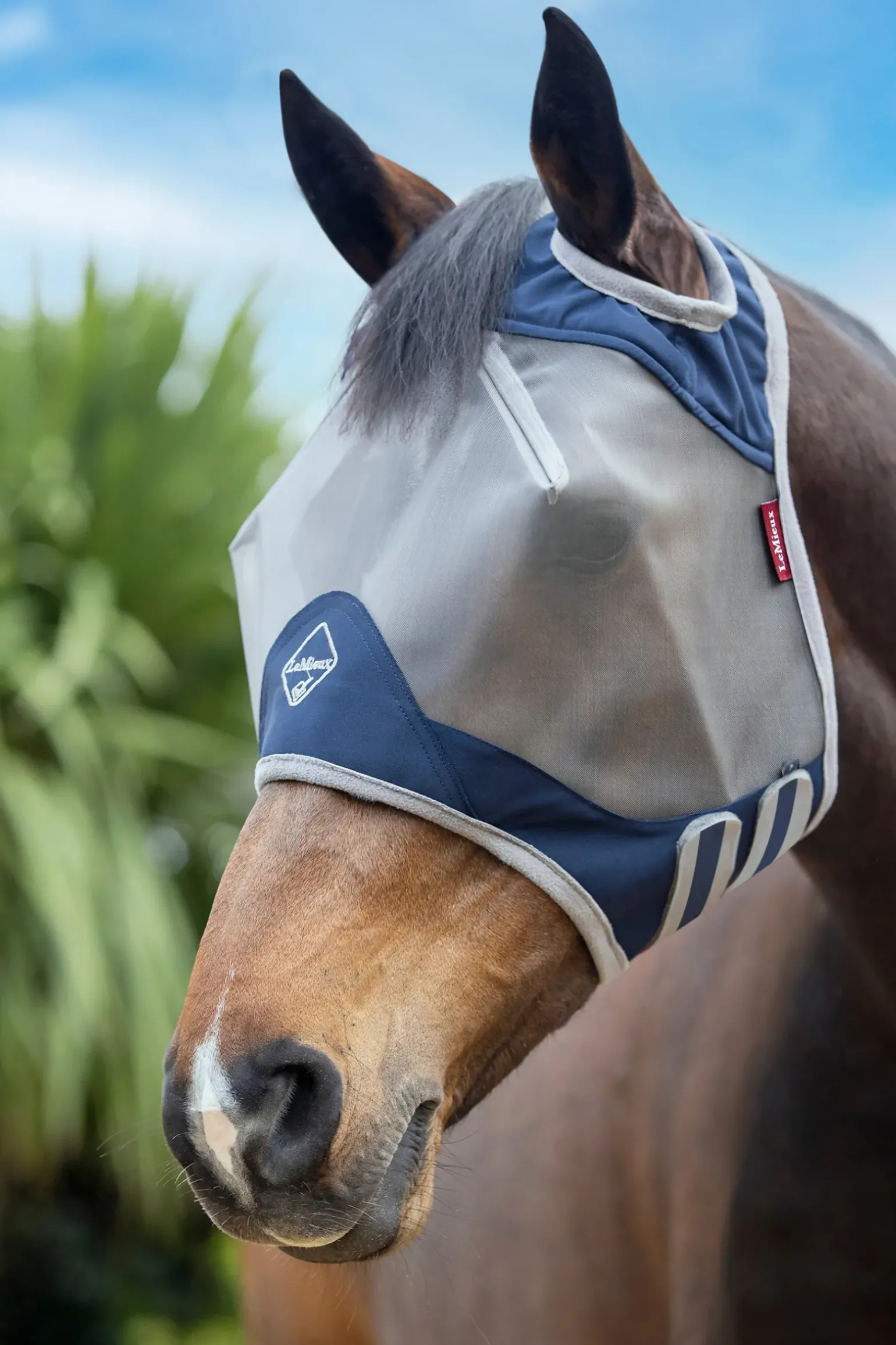 Masque Anti-Insectes Bouclier Lemieux Armour Standard Pro