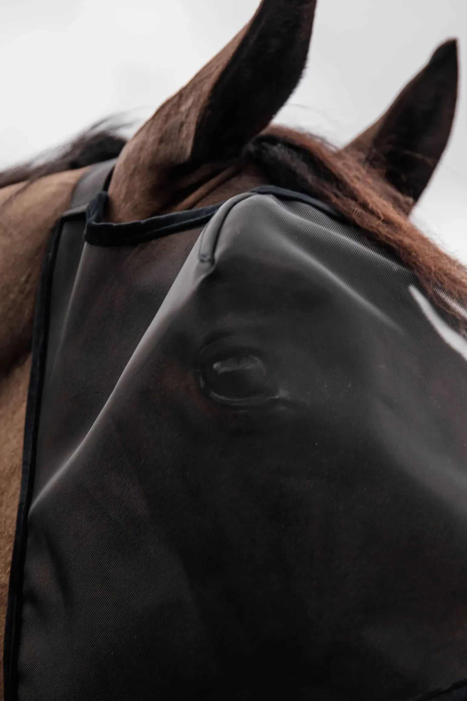 Masque Anti-Mouches Sans Oreilles Classic Kentucky Horsewear