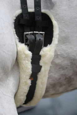 Sangle Mouton Courte Kentucky Horsewear