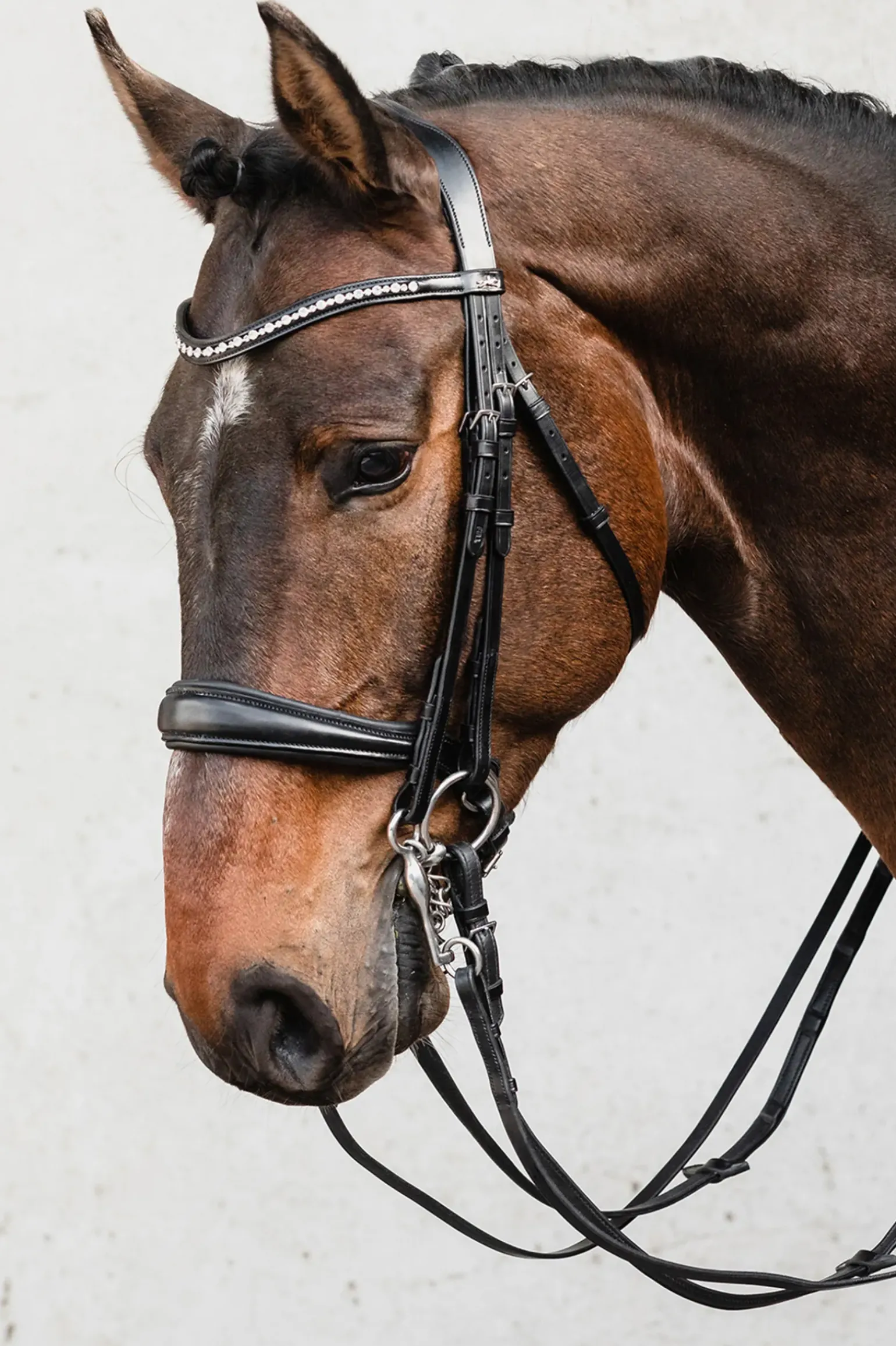 Schockemohle Milton Anatomic Double Bridle