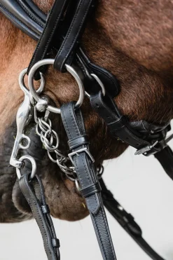 Schockemohle Milton Anatomic Double Bridle
