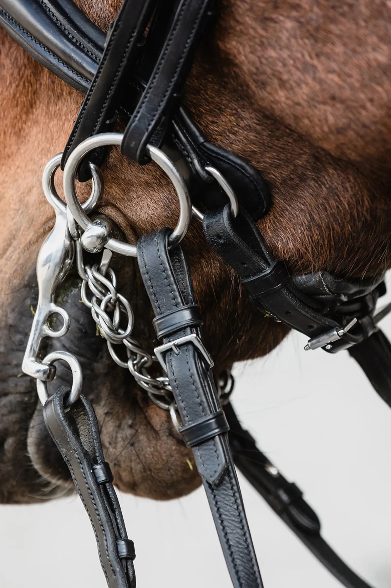Schockemohle Milton Anatomic Double Bridle