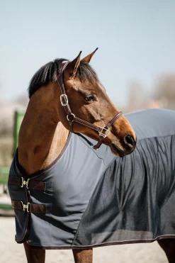 Sechante Softshell Kentucky Horsewear