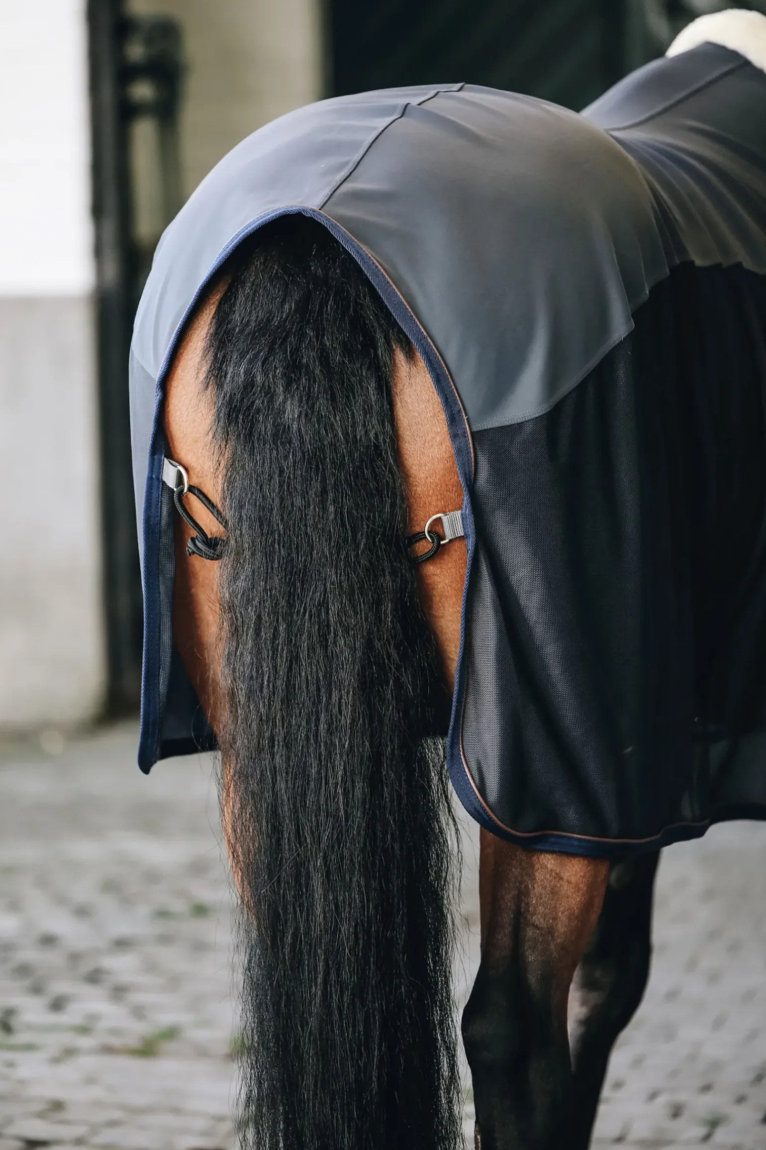 Sechante Softshell Kentucky Horsewear