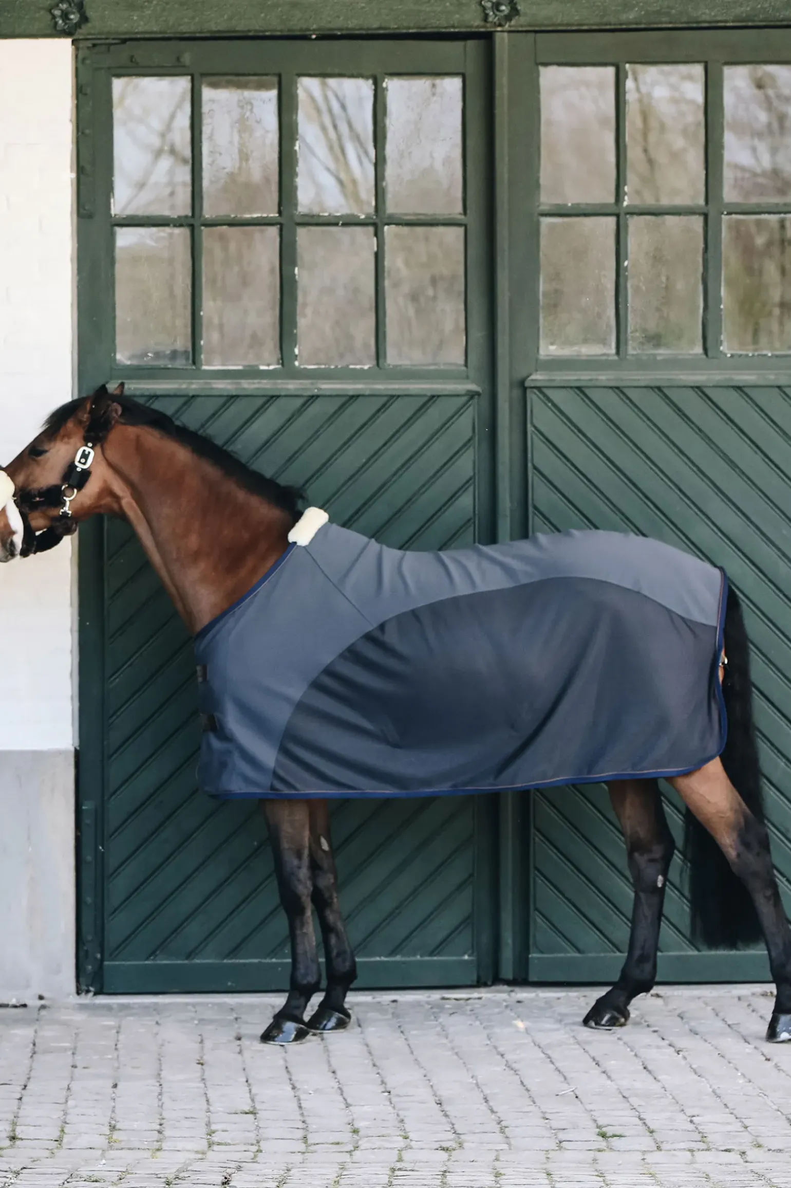 Sechante Softshell Kentucky Horsewear