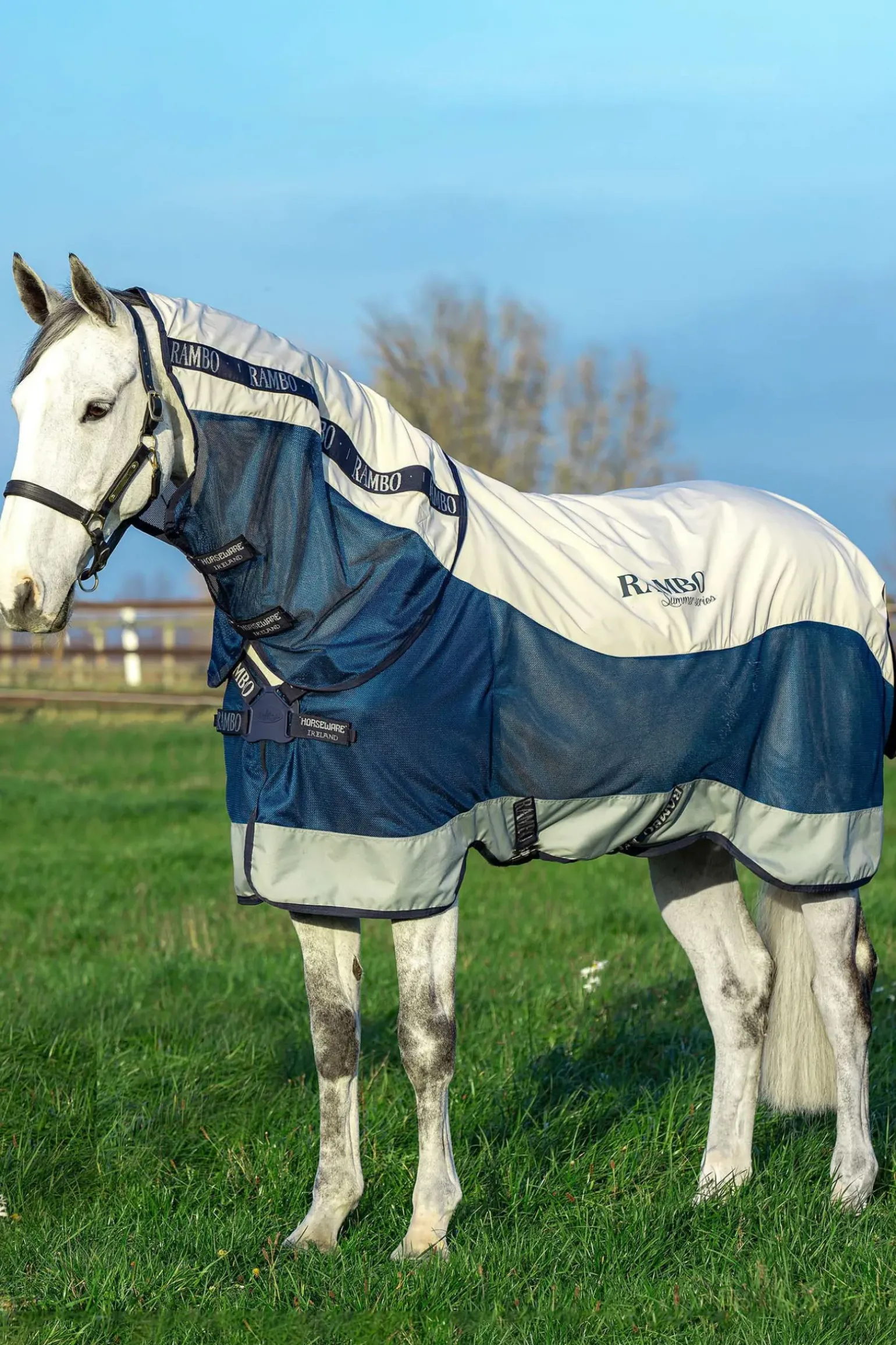 Serie D'Ete Horseware Rambo