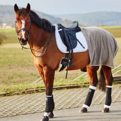 Sous-Bandages Horze, Posterieurs