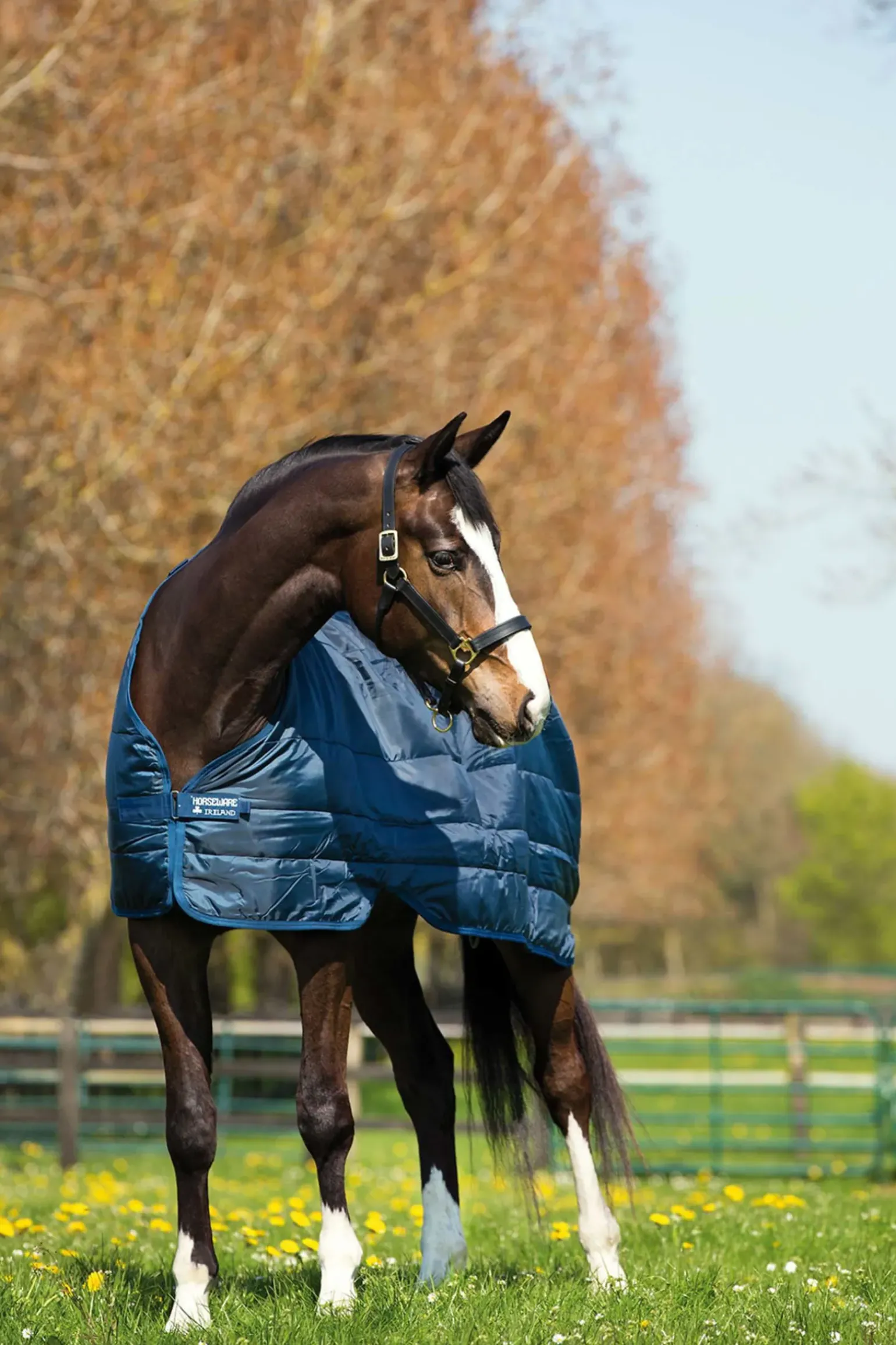Sous-Couverture Horseware Liner 300