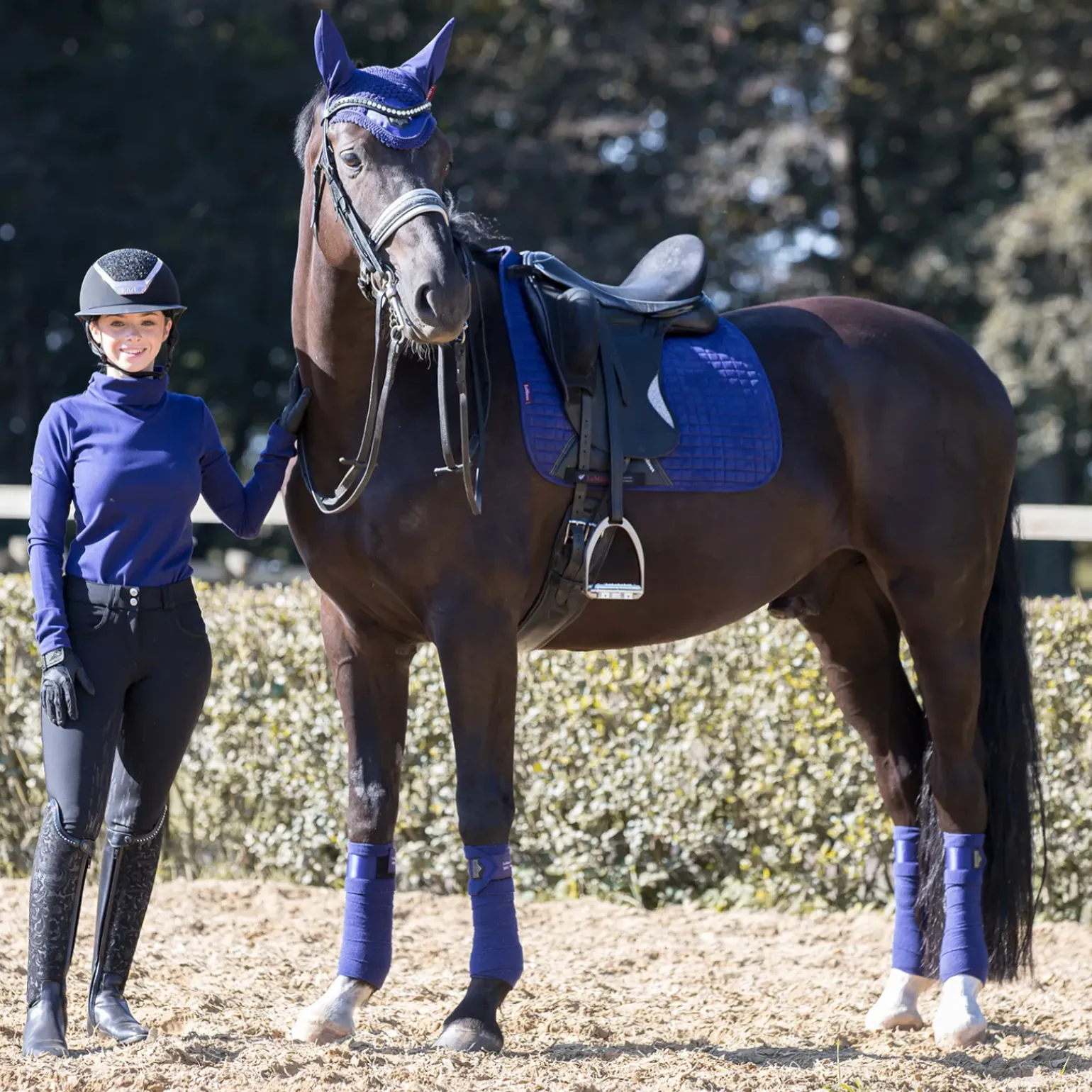 Tapis De Dressage Lemieux Luxe Saison