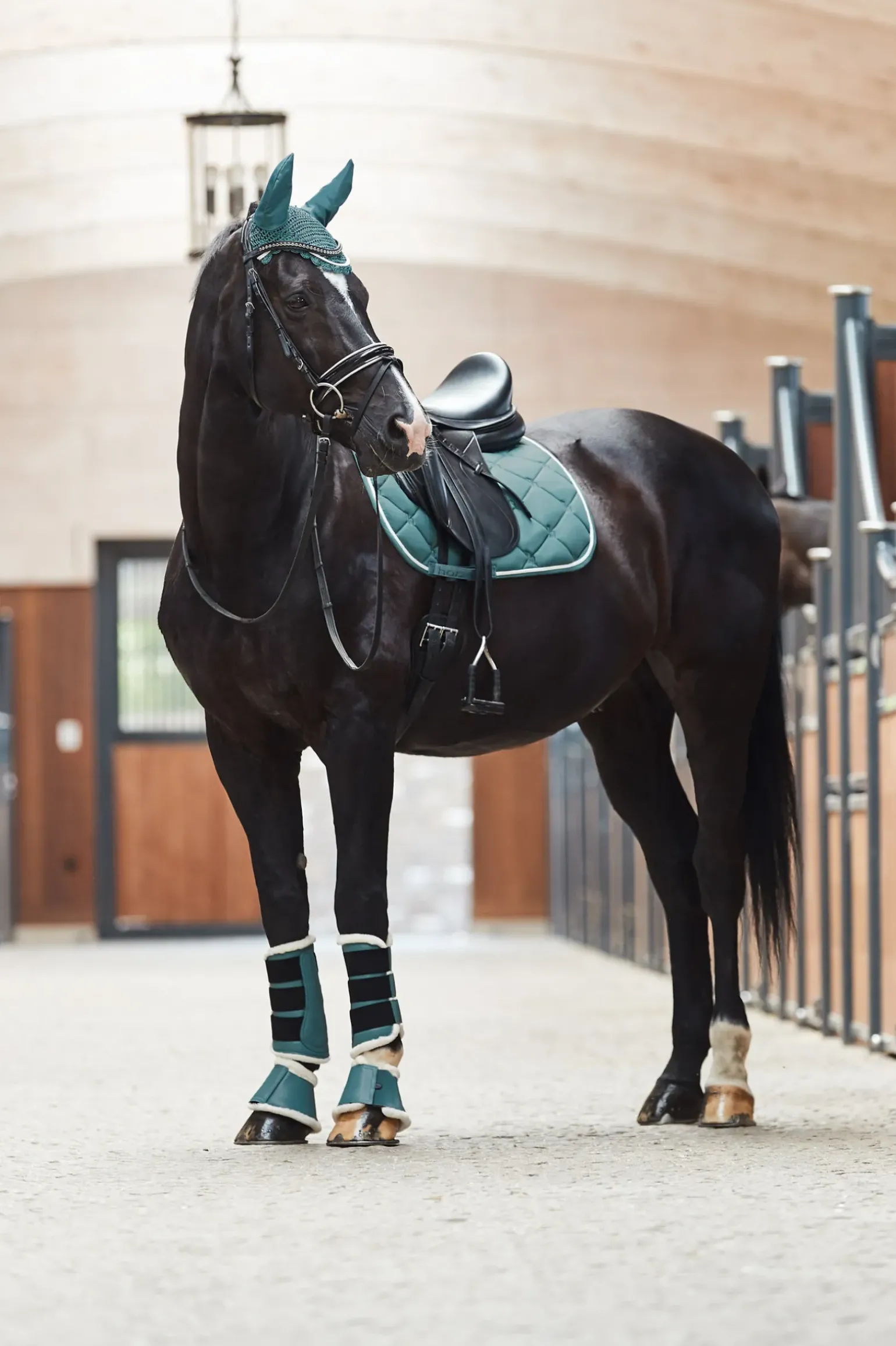 Tapis De Selle De Dressage Horze Ghent Avec Fausse Fourrure