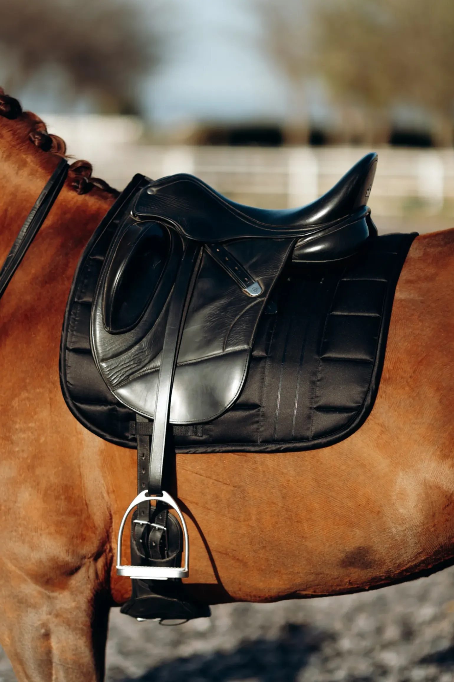 Tapis De Selle De Dressage B Vertigo Drew