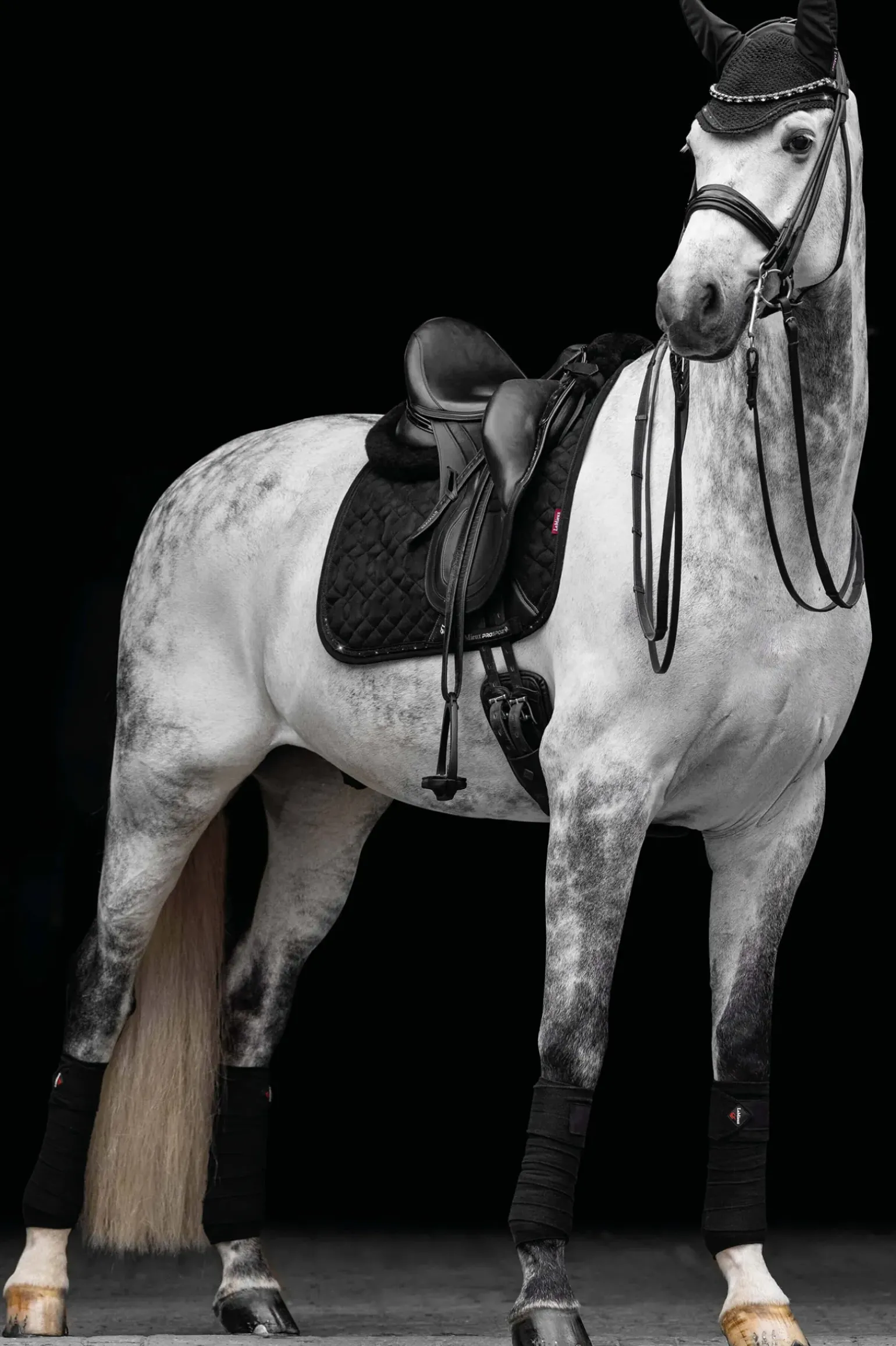 Tapis De Selle De Dressage Lemieux Daim Cristaux