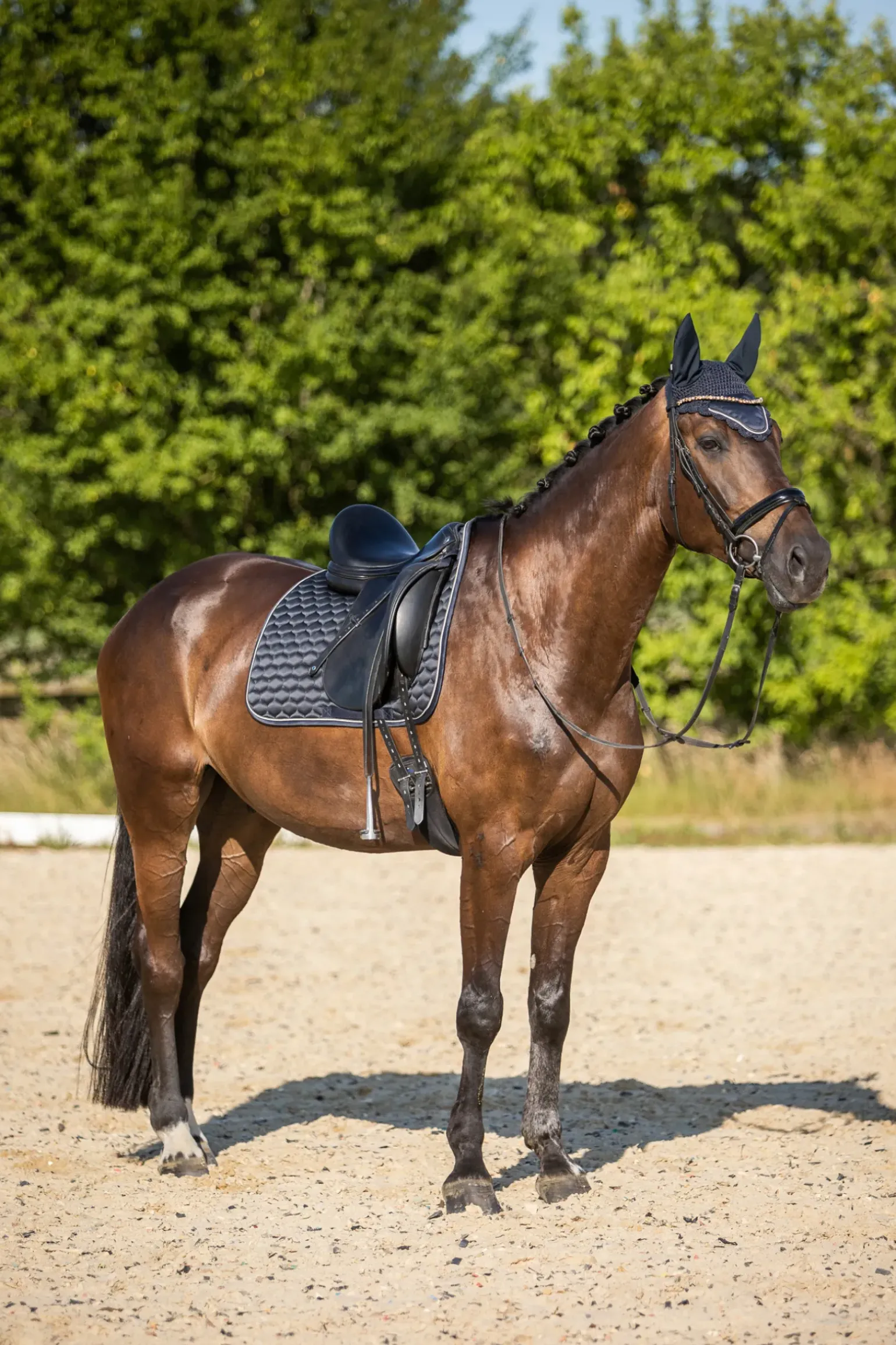 Tapis De Selle De Dressage Horze Sandness