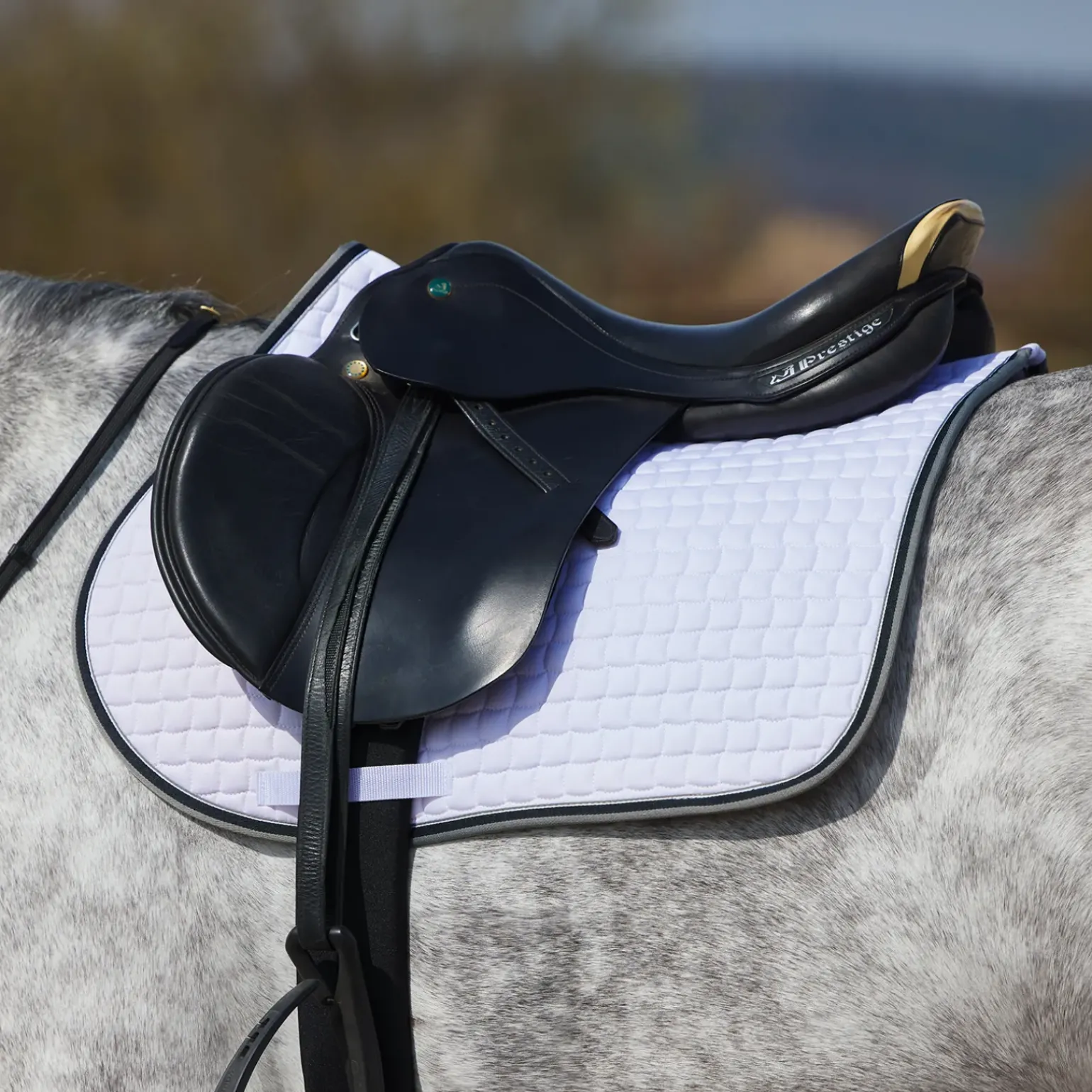 Tapis De Selle Mixte Horze Adepto