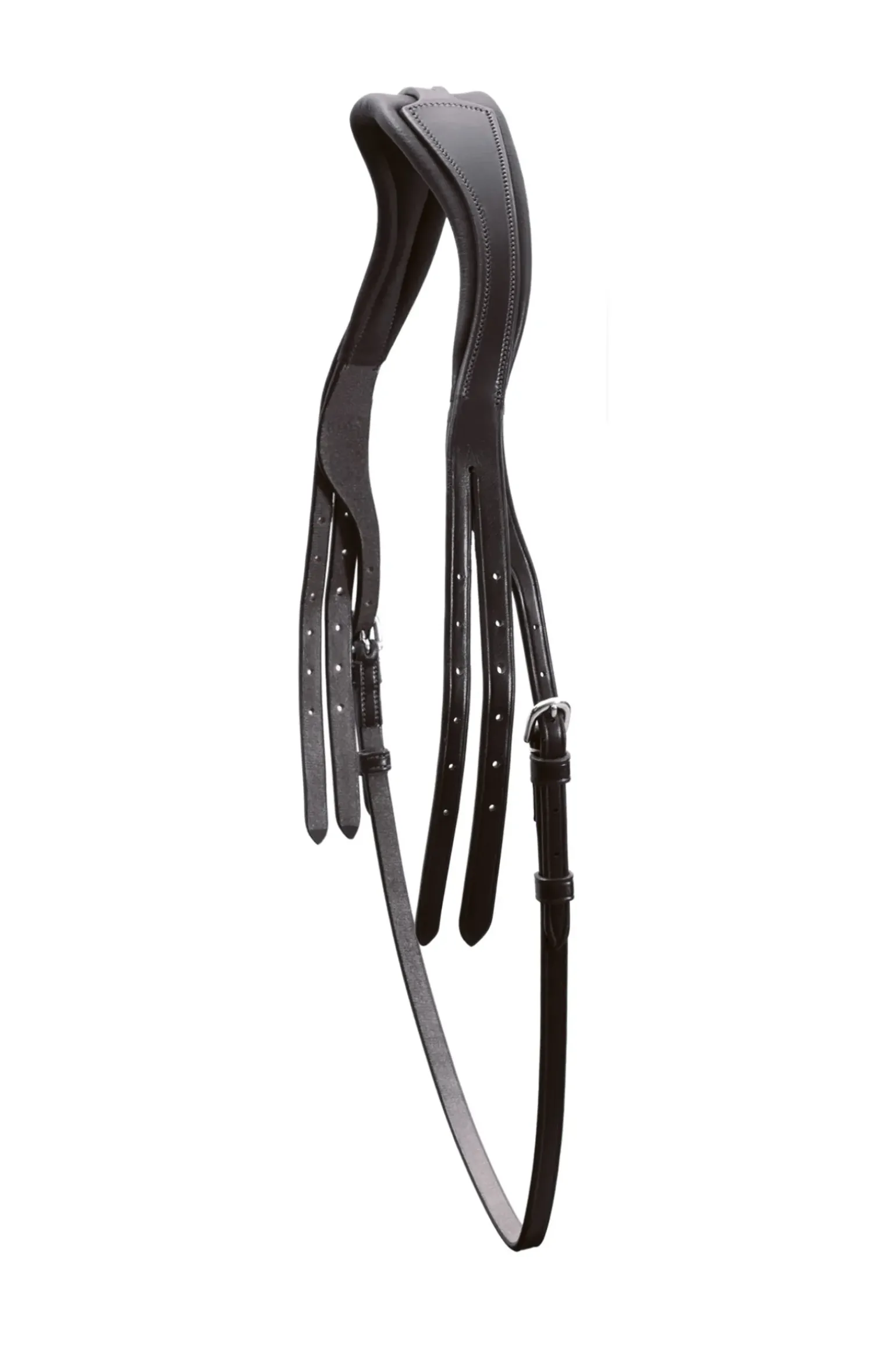 Tetiere Schockemohle Select