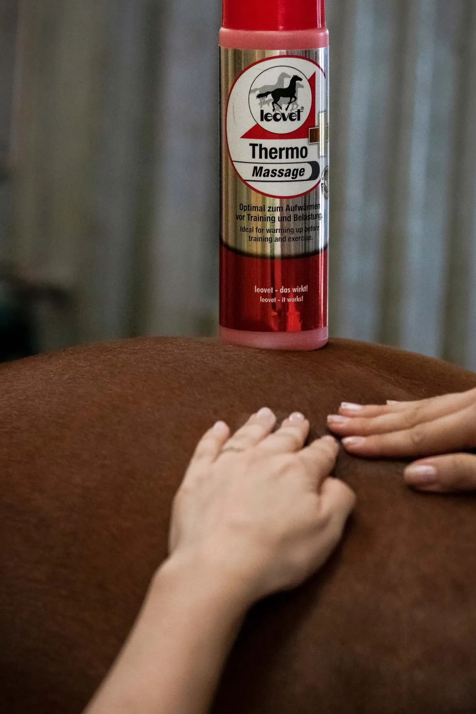 Thermo-Massage Leovet