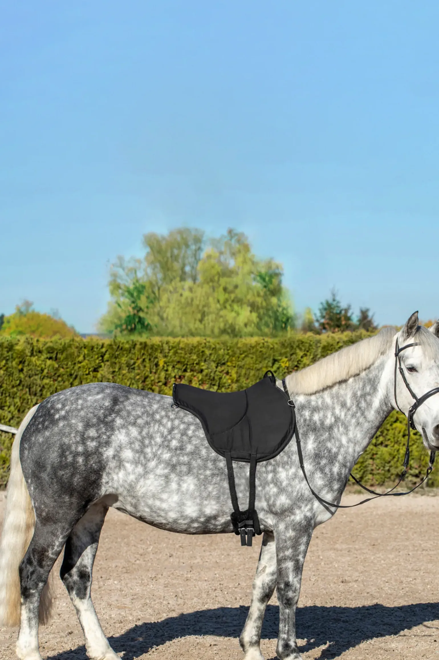 Usg Bareback Pad