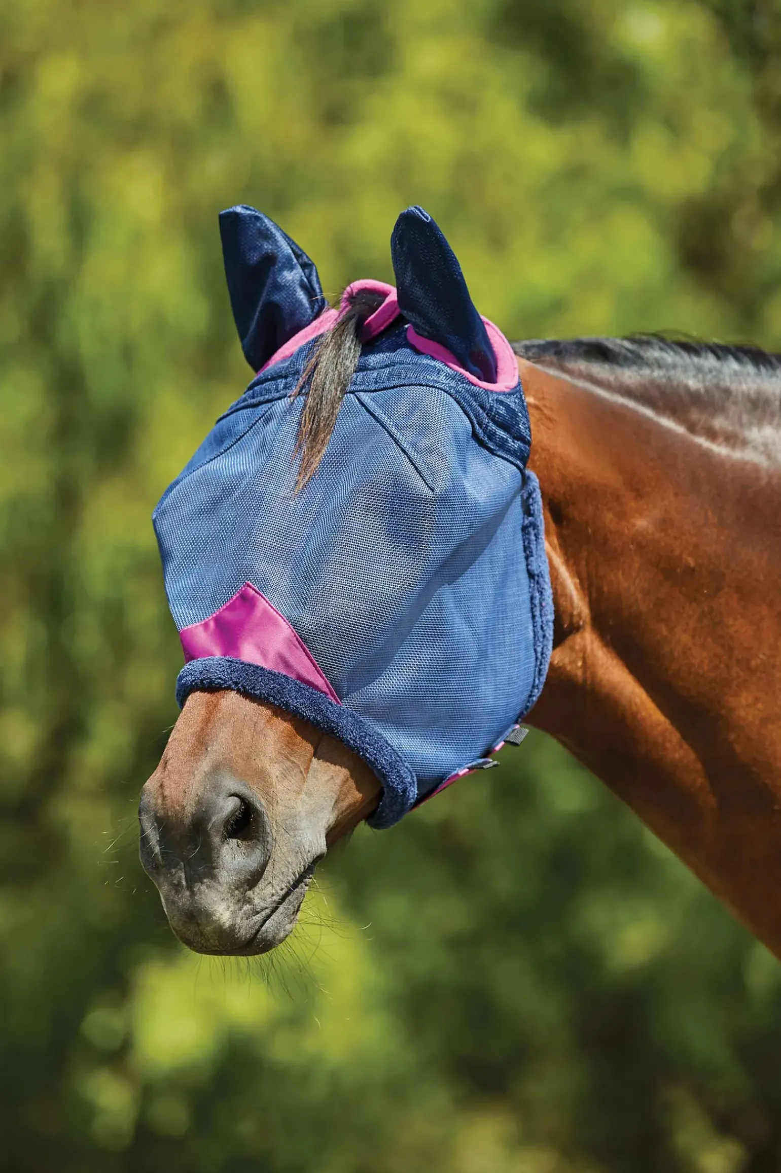 Weatherbeeta Comfitec Deluxe Durable Mesh Mask With Ears